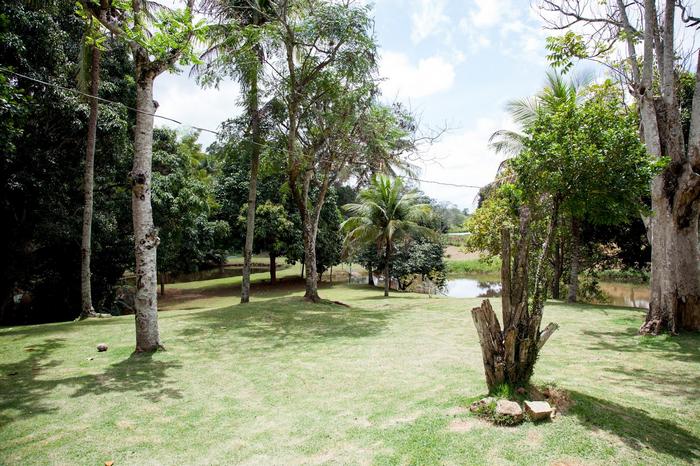 5 dicas para oferecer apoio emocional 1