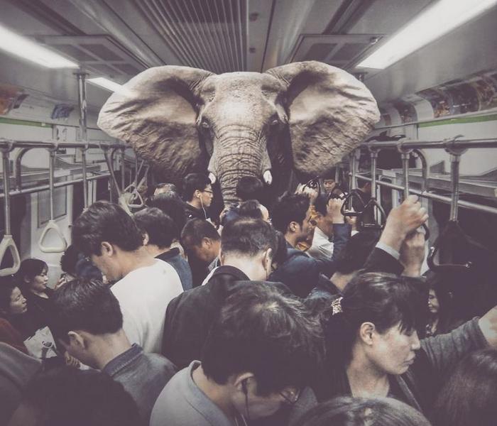 37 manipulações de fotos surreais que desafiam a lógica - surreais 37 manipulações de fotos surreais que desafiam a lógica
