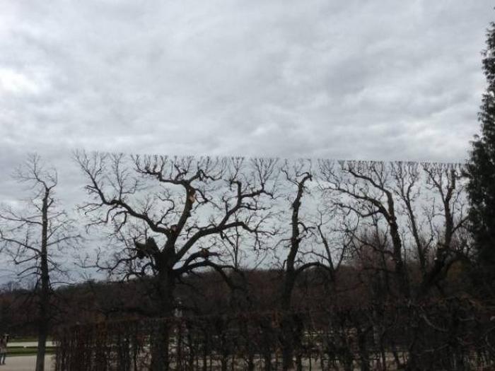 Nosso mundo está cheio de falhas na Matrix (24 fotos) 4