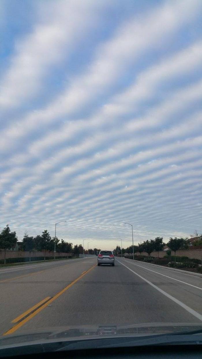 Nosso mundo está cheio de falhas na Matrix (24 fotos) 21