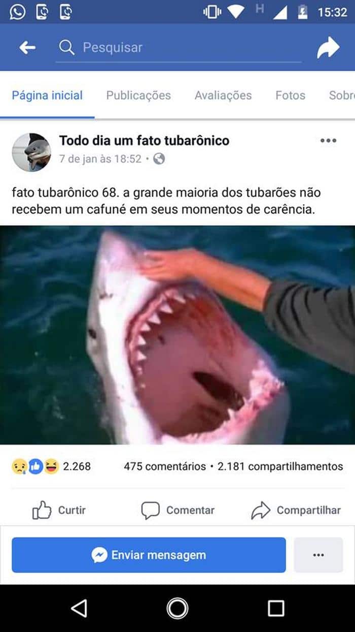 19 páginas mais diferentonas e estranhas do Facebook 6