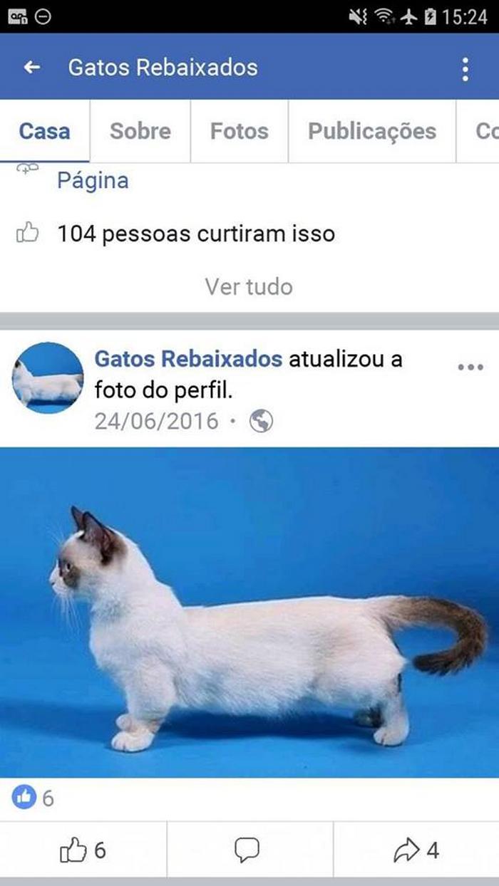 19 páginas mais diferentonas e estranhas do Facebook 17