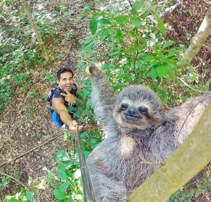 20 pessoas que estão fazendo selfies como um profissional 15