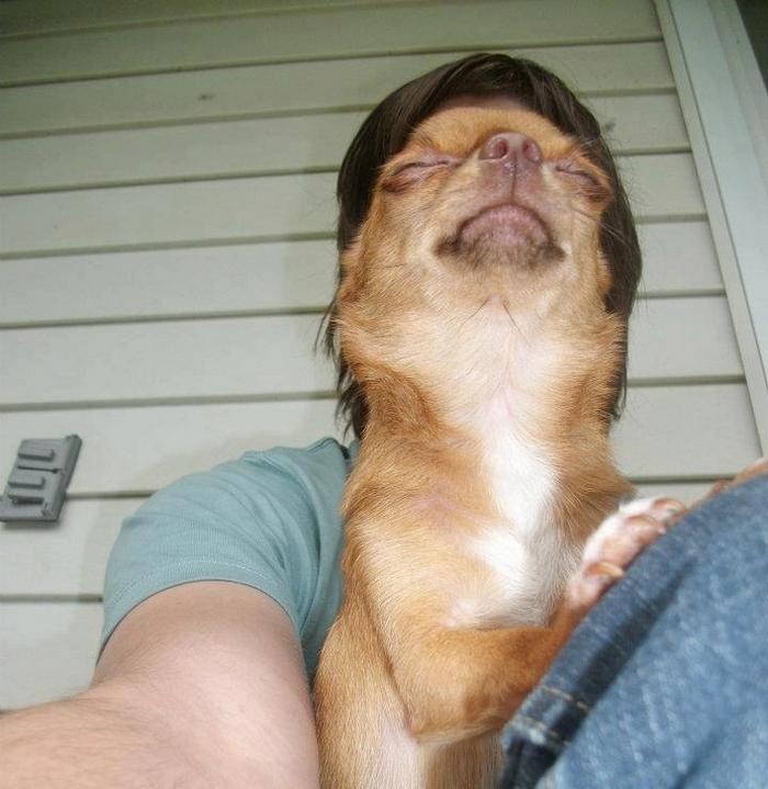 20 pessoas que estão fazendo selfies como um profissional 17