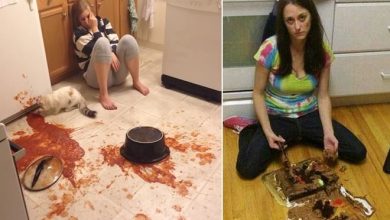 17 pessoas que realmente precisam ficar fora da cozinha 5