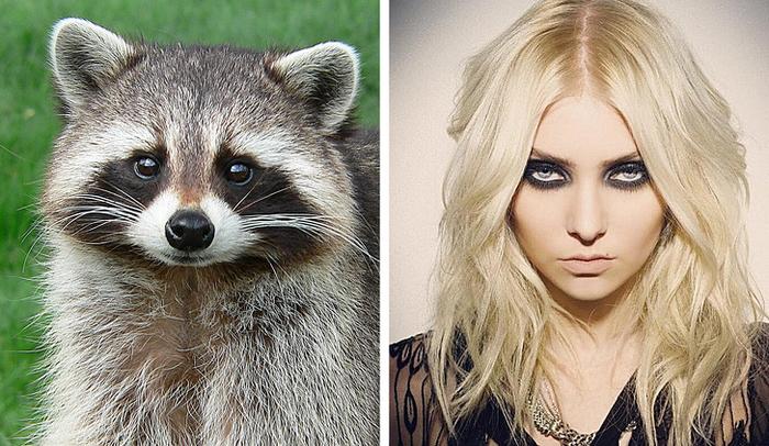 18 animais que se parecem exatamente com algumas celebridades 3