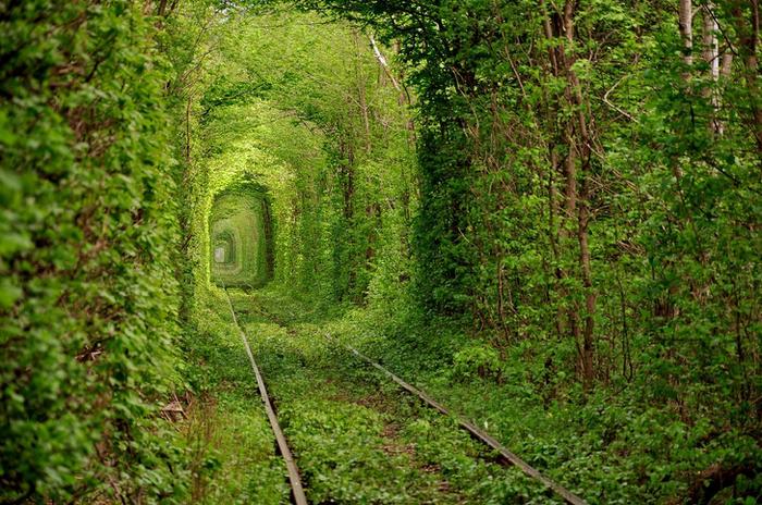 23 fotos dramáticas que mostram que a natureza sempre vence 5