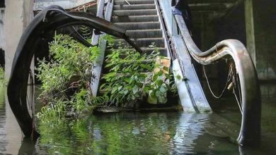 23 fotos dramáticas que mostram que a natureza sempre vence 6