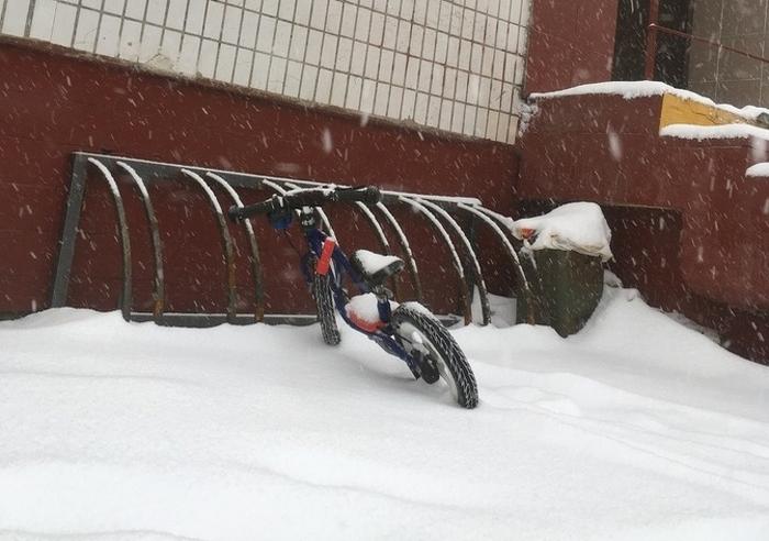 19 fotos que definem perfeitamente o que é ter crianças em casa 11