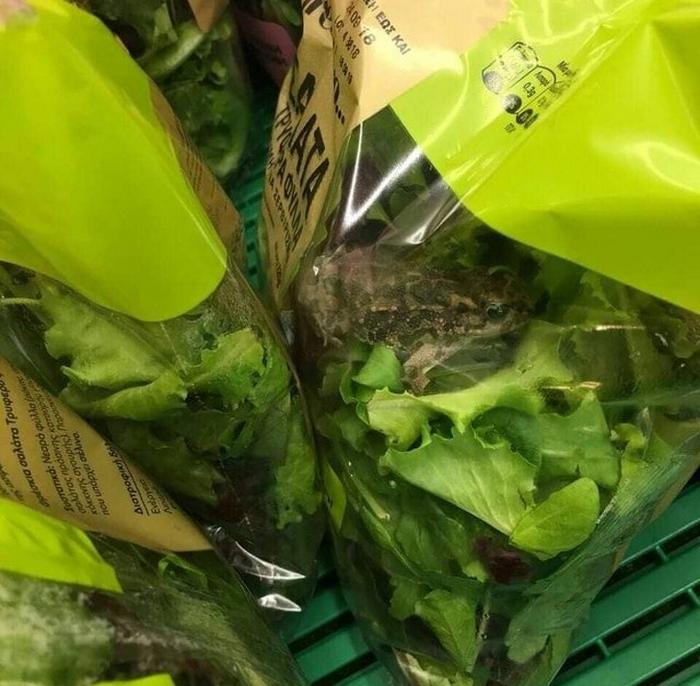 18 fotos surpreendentes que nos fazem sentir estranho 5