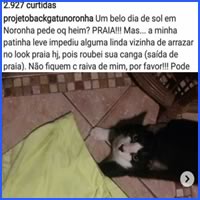 Kitty Pata-Mansa da vida real Kitty Pata-Mansa da vida real