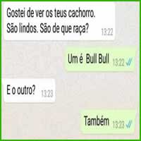 Como prolongar uma conversa