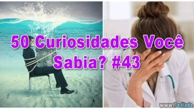 50 Curiosidades Você Sabia? #43