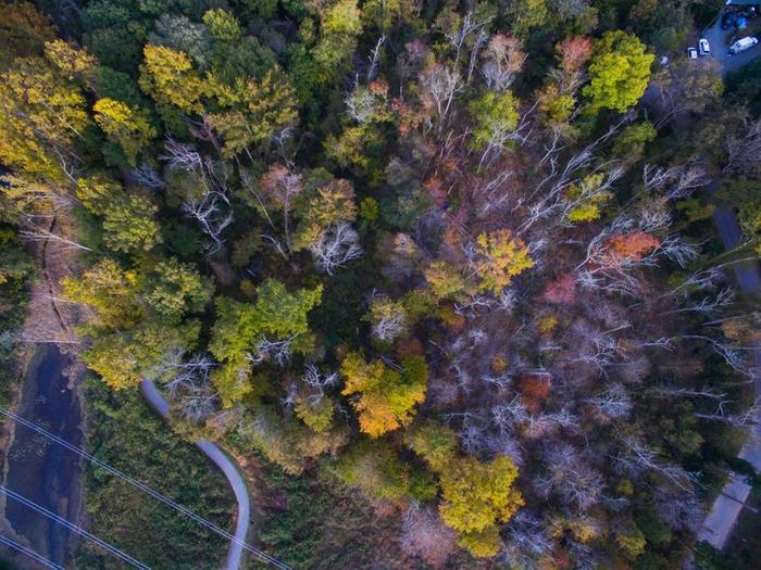 20 incríveis fotos feitas com drones 17