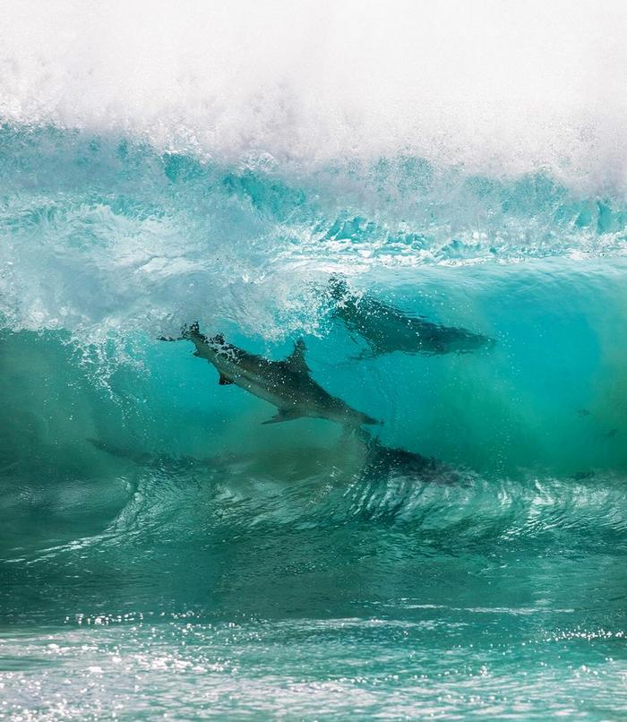 20 incríveis fotos feitas com drones 19