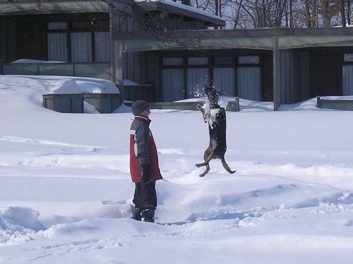 O momento é a chave da foto perfeita (26 fotos) 8