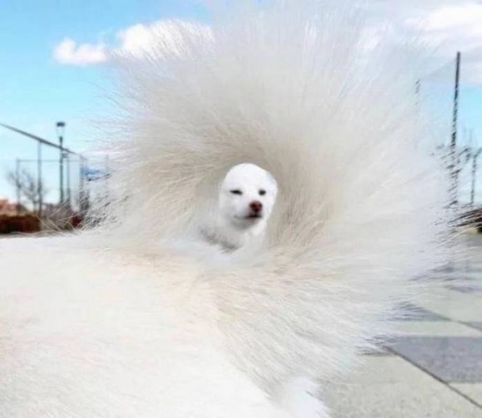 O momento é a chave da foto perfeita (26 fotos) 21