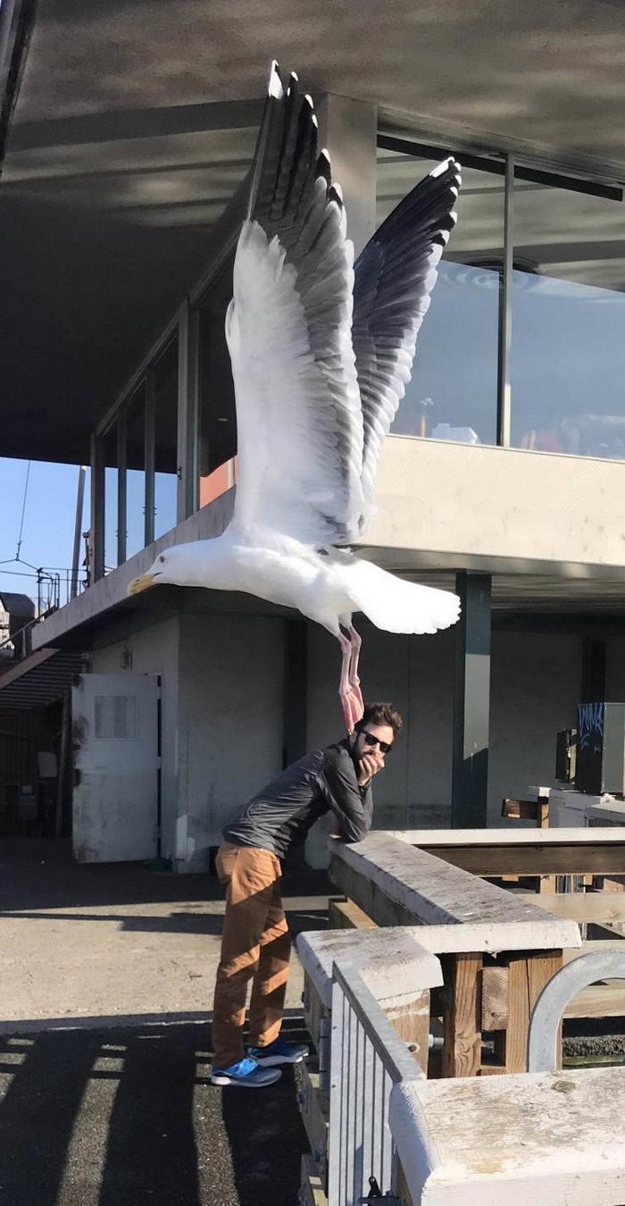 O momento é a chave da foto perfeita (26 fotos) 22