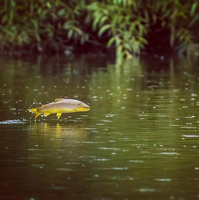 O momento é a chave da foto perfeita (26 fotos) 25