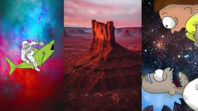 45 papéis de parede para seu celular 42