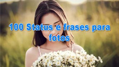 100 Status e frases para fotos