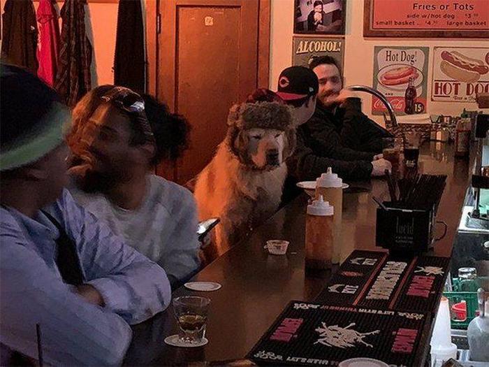 Você poderia explicar o que está acontecendo aqui? (19 fotos) 2