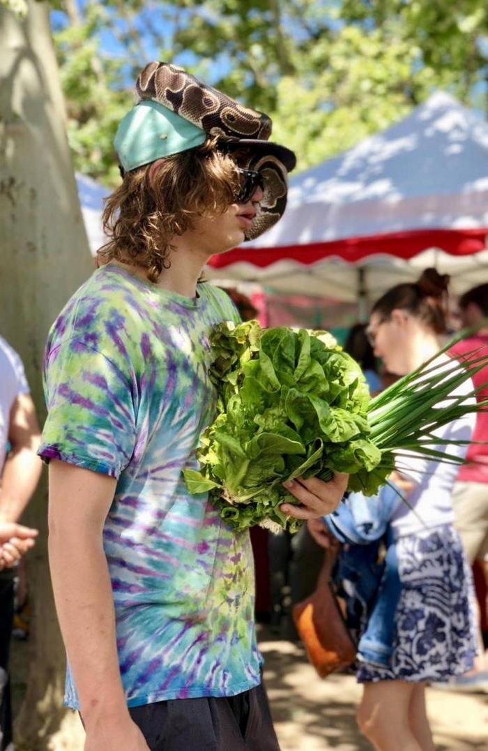 Você poderia explicar o que está acontecendo aqui? (19 fotos) 7