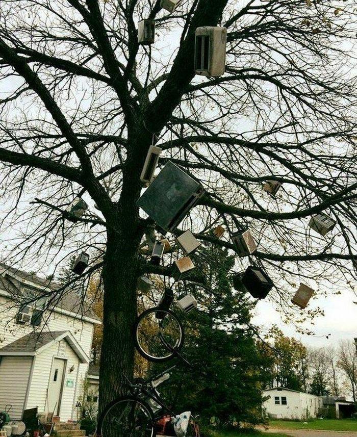 Você poderia explicar o que está acontecendo aqui? (19 fotos) 12