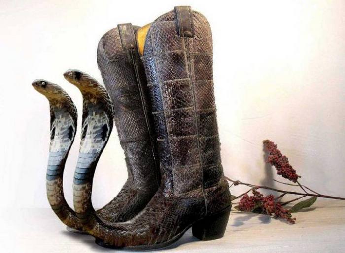 31 fotos que não pode ser explicadas 6