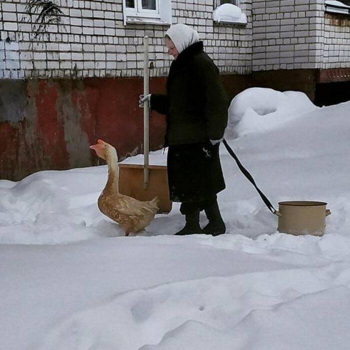 31 fotos que não pode ser explicadas 15