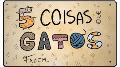 5 coisas que gatos fazem 6
