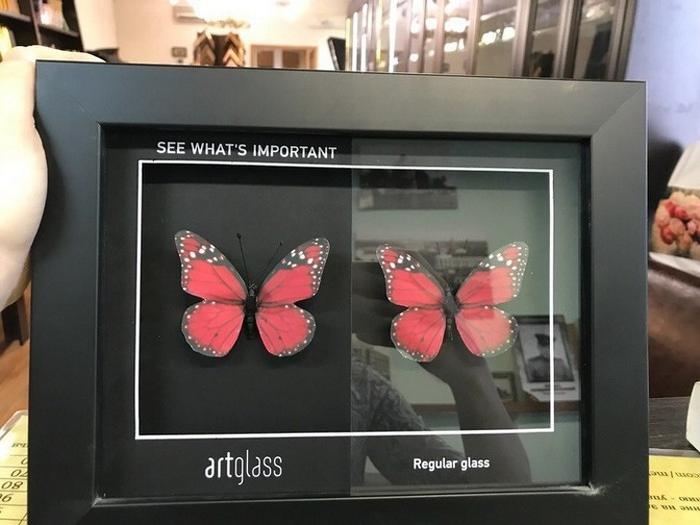 16 coisas que provam o mundo não é o que parece à primeira vista 3