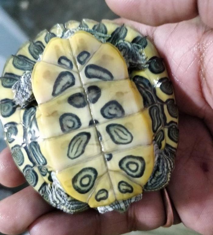 16 coisas que provam o mundo não é o que parece à primeira vista 11