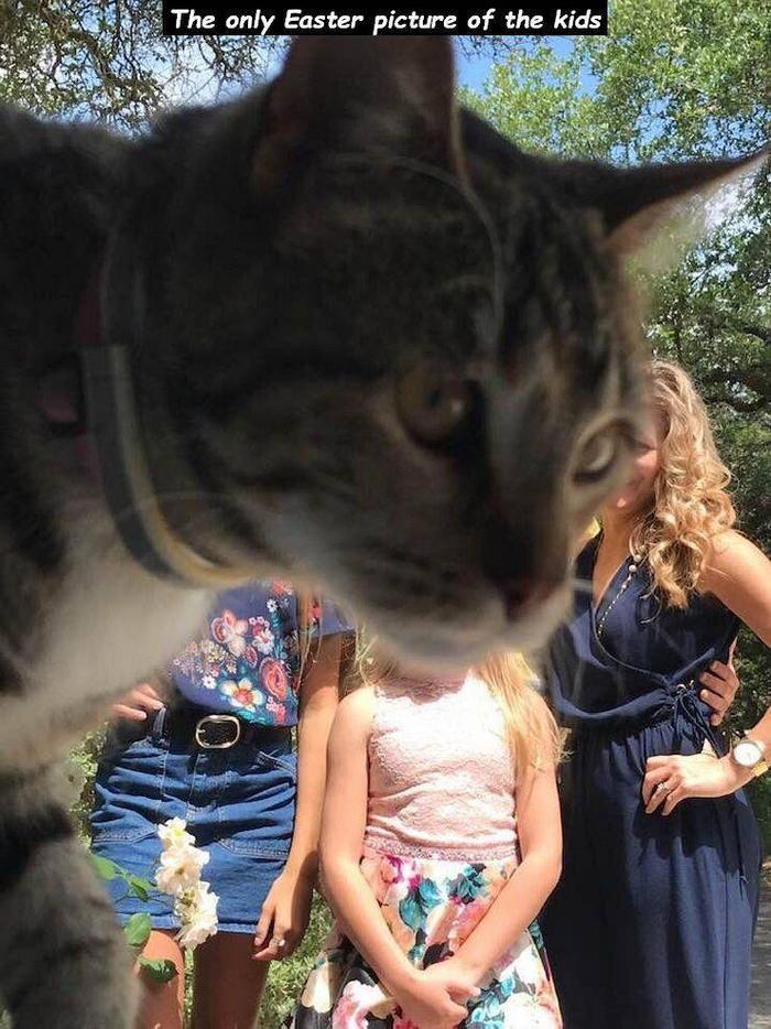 21 fotos que são a própria definição de um dia ruim 11