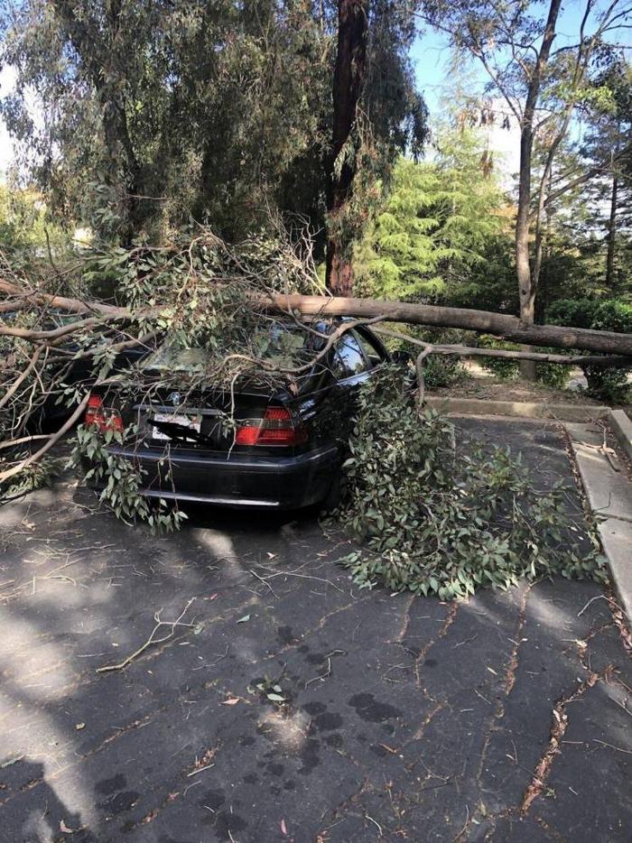 21 fotos que são a própria definição de um dia ruim 21