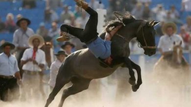 21 fotos que são a própria definição de um dia ruim 29