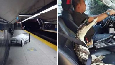 22 fotos que simplesmente são impossíveis de explicar 19