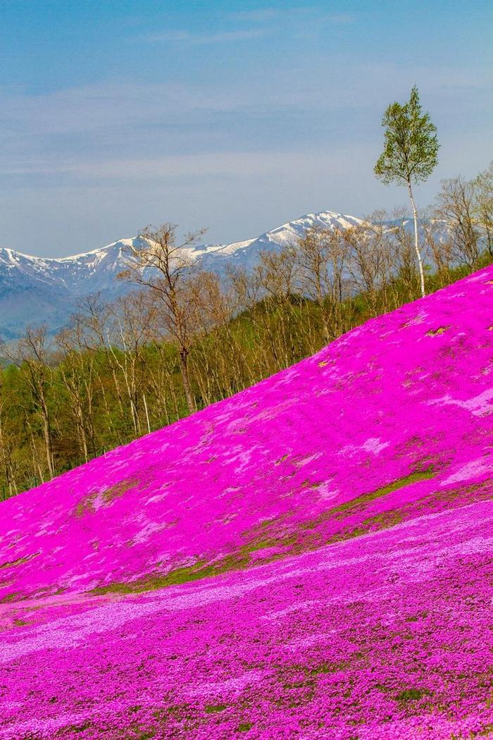 25 lugares até parecem cenário de filme 9