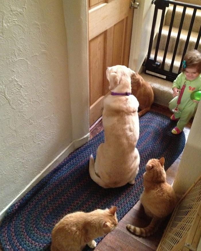 22 motivos que vão te fazer repensar se quer ter filhos 15