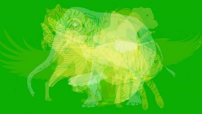 O primeiro animal que você enxergar revelará suas características mais intensas