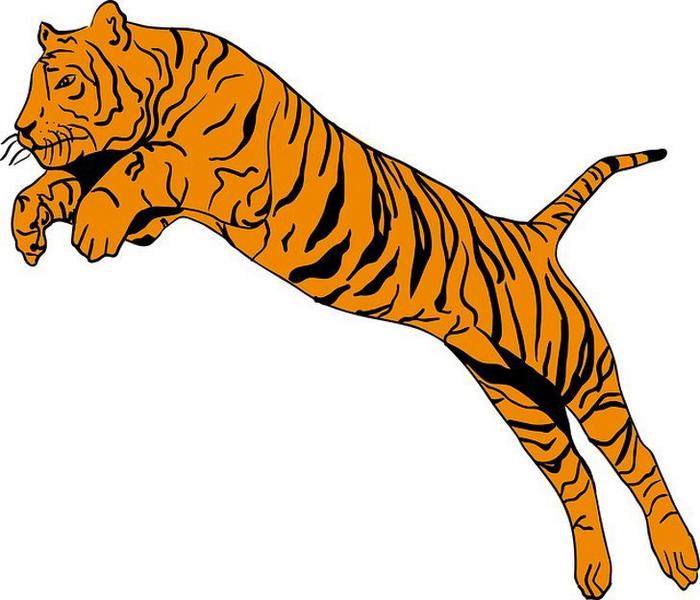 O primeiro animal que você enxergar revelará suas características mais intensas - primeiro animal O primeiro animal que você enxergar revelará suas características mais intensas