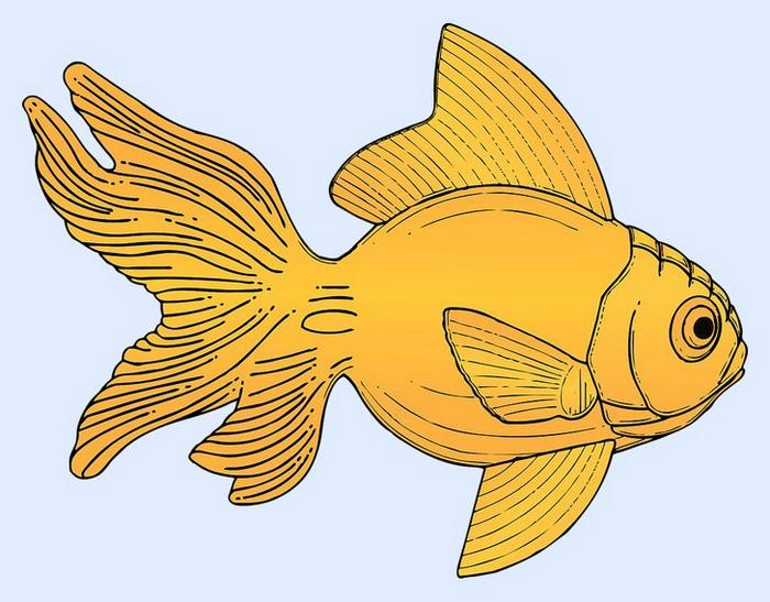 O primeiro animal que você enxergar revelará suas características mais intensas - primeiro animal O primeiro animal que você enxergar revelará suas características mais intensas
