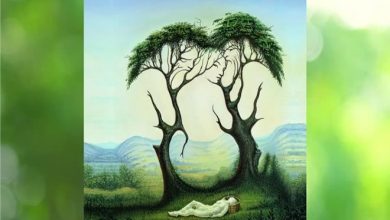 O que você viu primeiro? Você ficará surpreso com a resposta