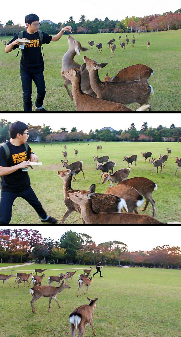 19 pessoas com melhores atitudes inconsequentes 2