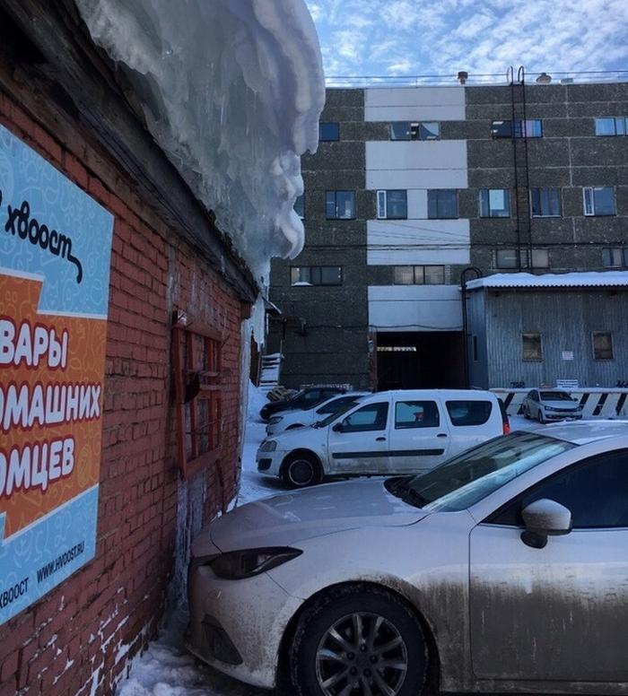 19 pessoas com melhores atitudes inconsequentes 3