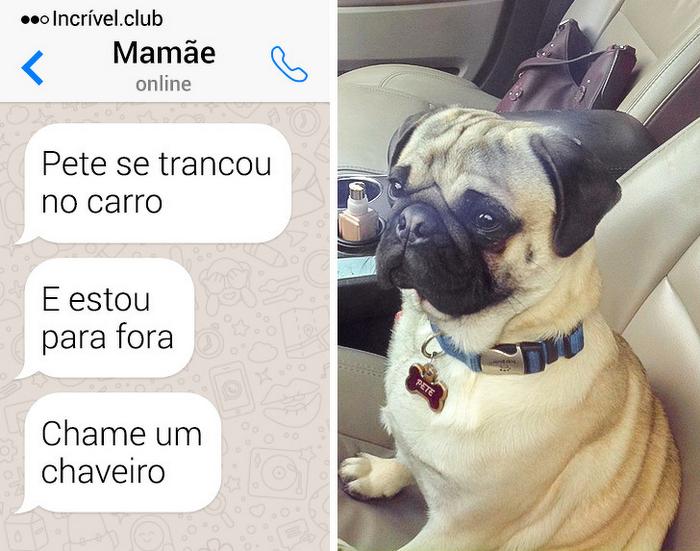 19 pessoas com melhores atitudes inconsequentes 15