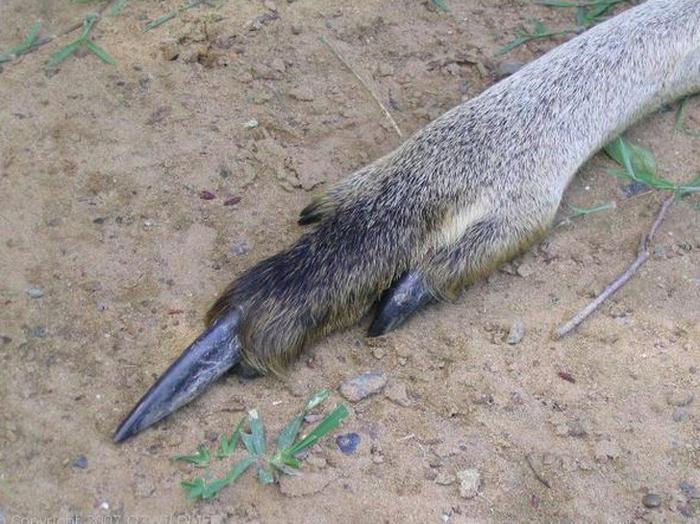 17 pessoas que descobriu fatos surpreendentes 7