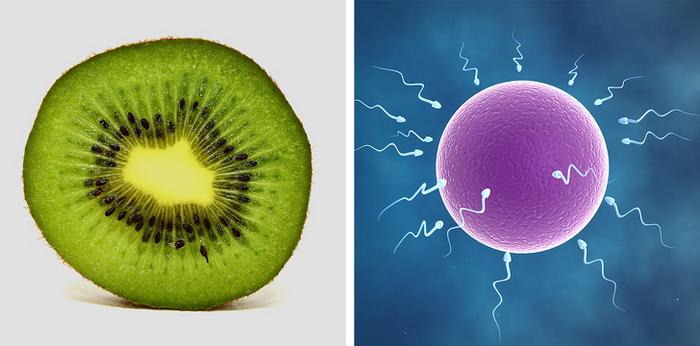 17 pessoas que descobriu fatos surpreendentes 10