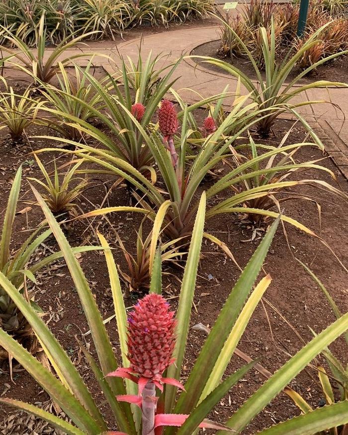 17 pessoas que descobriu fatos surpreendentes 12