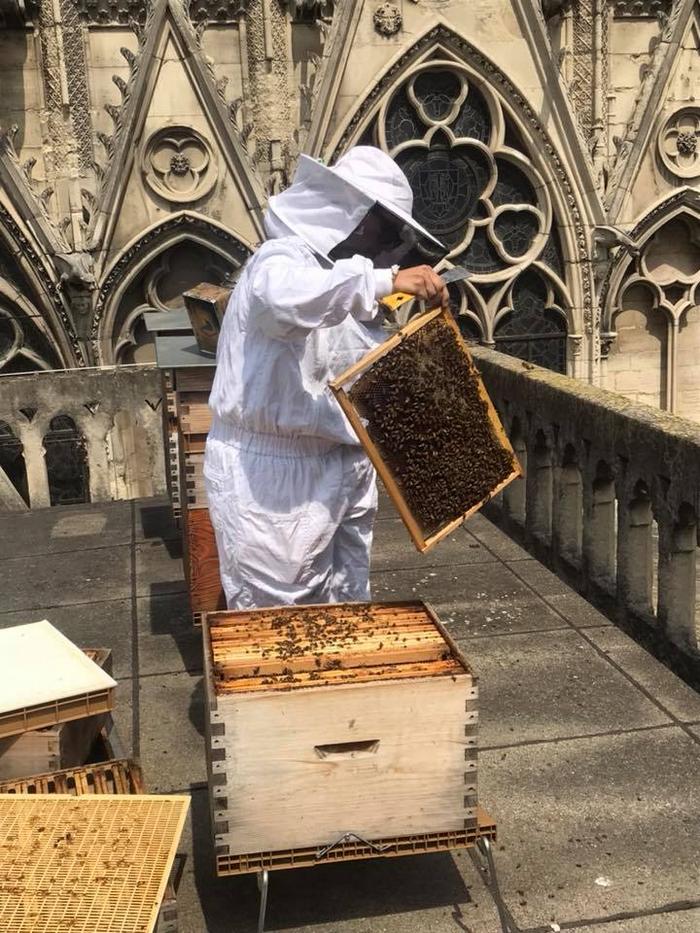13 segredos ocultos na Catedral de Notre-Dame 7